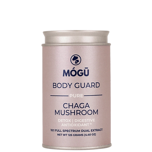 Mógū Body Guard Organic Chaga Mushroom