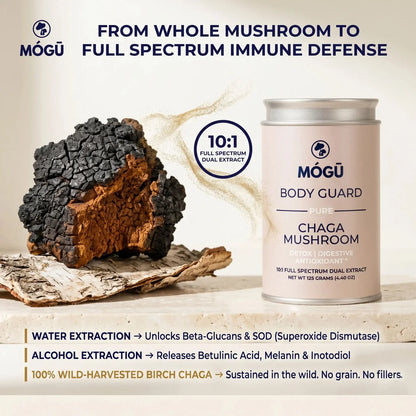 Mógū Body Guard Organic Chaga Mushroom