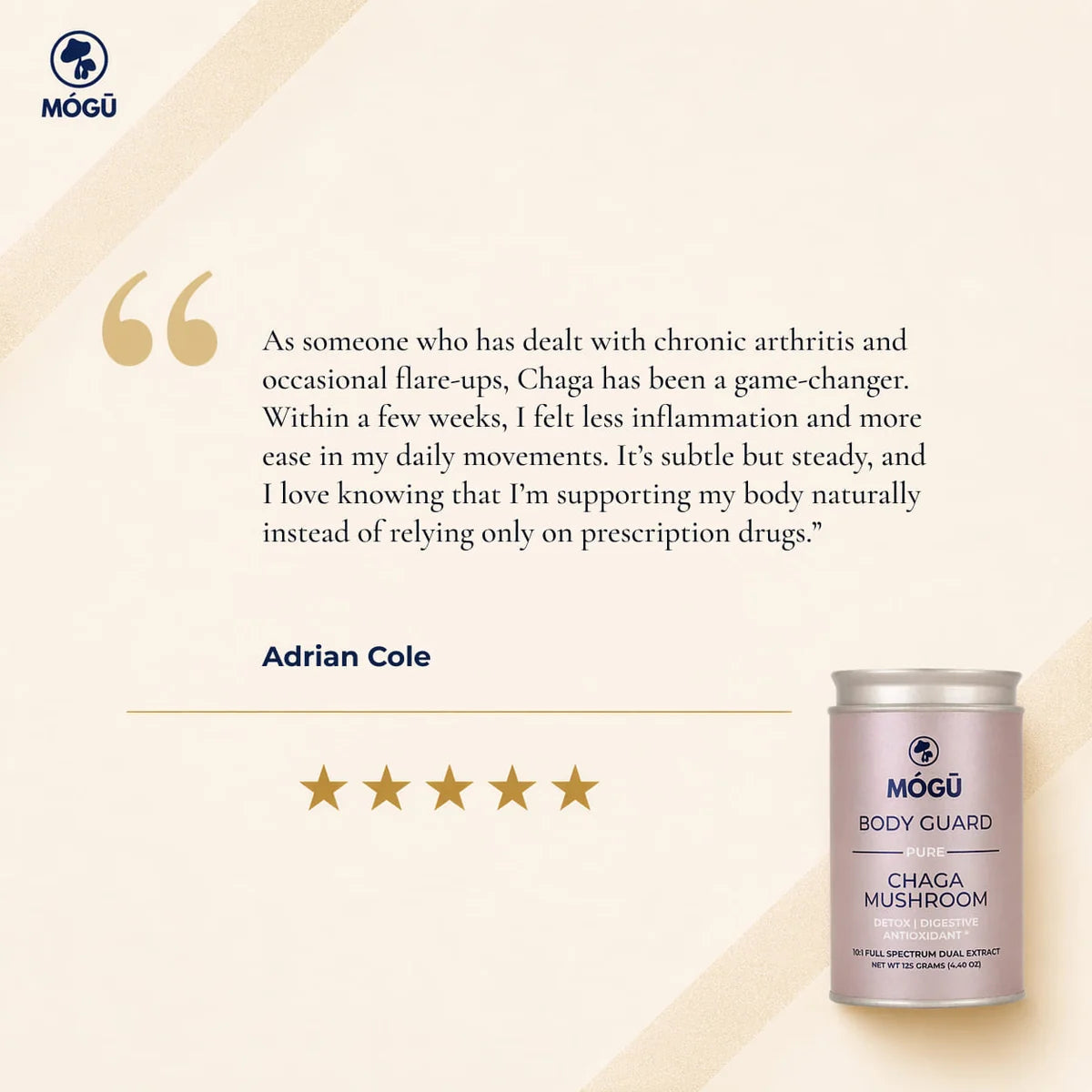 Mógū Body Guard Organic Chaga Mushroom